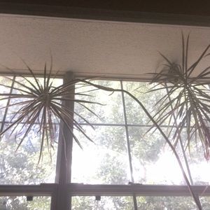 Meet your Posher, Rinna